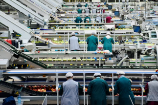 Mechanization is gaining ground in the logistics warehouses of the retail sector.