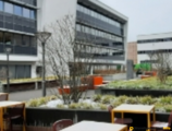 Warehouses to let in Warehouse - Deposit for Rental - Contern