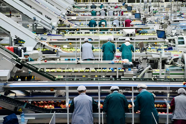 Mechanization is gaining ground in the logistics warehouses of the retail sector.