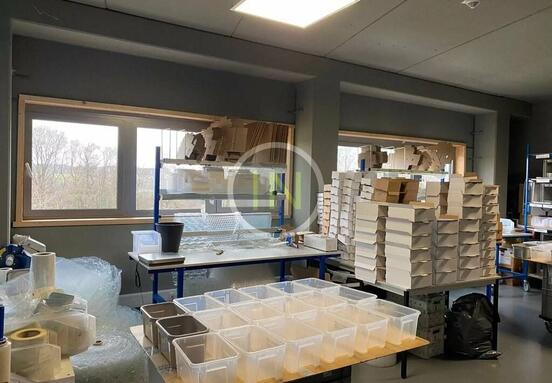 Warehouse - Deposit for Sale - Contern